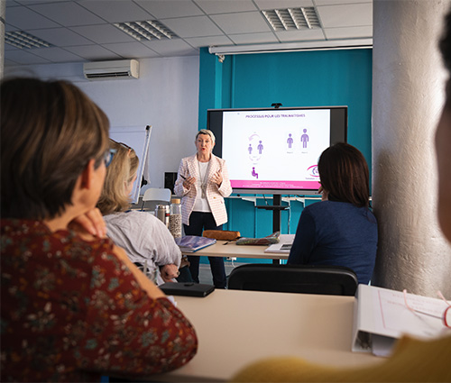 institut de formations professionnelles